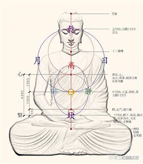 先天胎元後天息元|胎息經